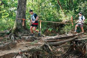 BIB: 
                            <button type="button" onclick="openModal(27558296)" class="btn btn-primary btn-sm float-right btn-popup" data-toggle="modal" data-target=".modal-high-quality">
                        <i class="fas fa-shopping-cart"></i> Add to Cart
                    </button>
                                            <button type="button" onclick="isThisMe(27558296, true)" class="btn btn-success btn-sm float-right btn-popup btn-isme hidden" data-toggle="tooltip" data-placement="bottom" title="นี่คือรูปของคุณใช่ไหม คลิกที่นี่เพื่อเอาเข้าอัลบั้ม">
                        <i class="fas fa-plus"></i> Add to album
                    </button>
                    <button type="button" onclick="isThisMe(27558296, false)" class="btn btn-warning btn-sm float-right btn-popup btn-isnotme hidden">
                        <i class="fas fa-ban"></i> Remove from album
                    </button>